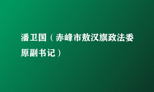 潘卫国（赤峰市敖汉旗政法委原副书记）
