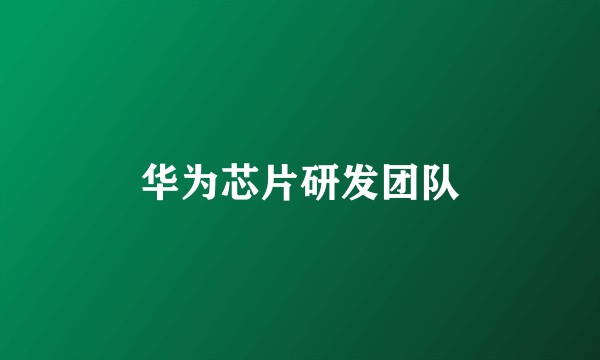 华为芯片研发团队
