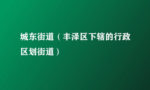 城东街道(丰泽区下辖的行政区划街道)