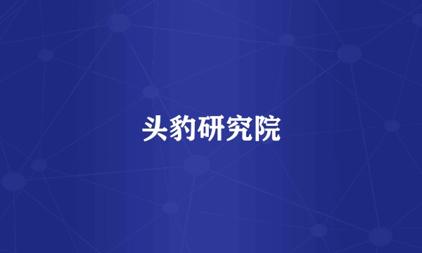 头豹研究院