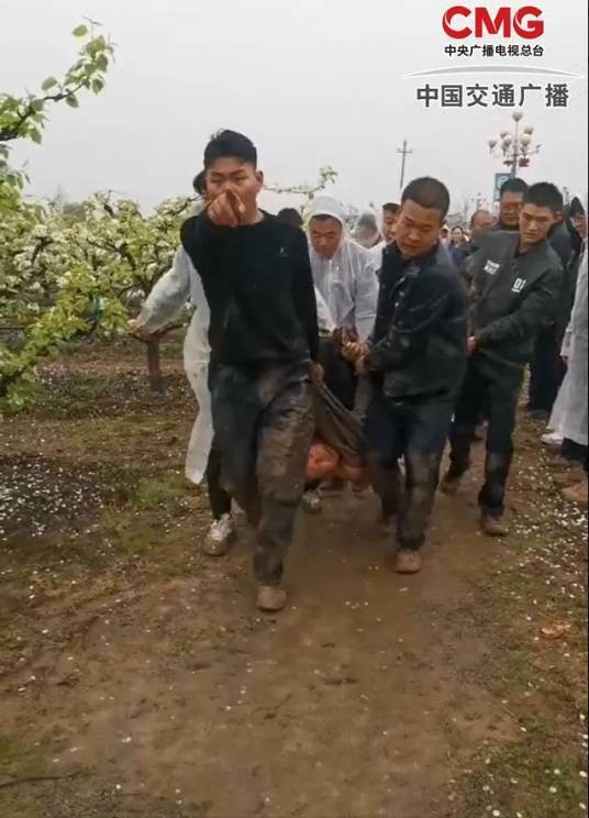 4·2叶县强拆果园事件