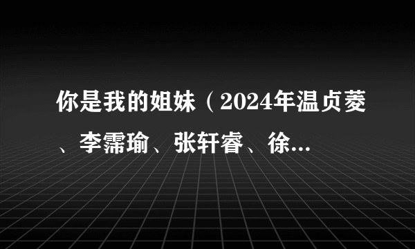 你是我的姐妹(2024年温贞菱、李霈瑜、张轩睿、徐钧浩主演的电视剧)