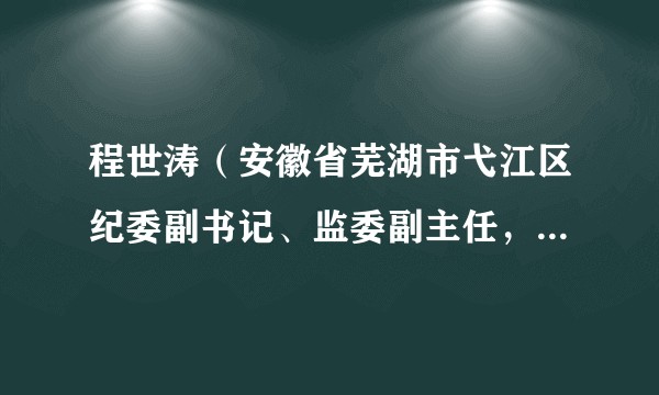 程世涛（安徽省芜湖市弋江区纪委副书记、监委副主任，一级监察官）
