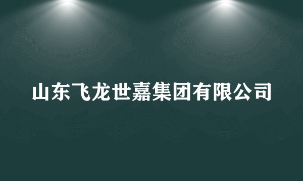 山东飞龙世嘉集团有限公司