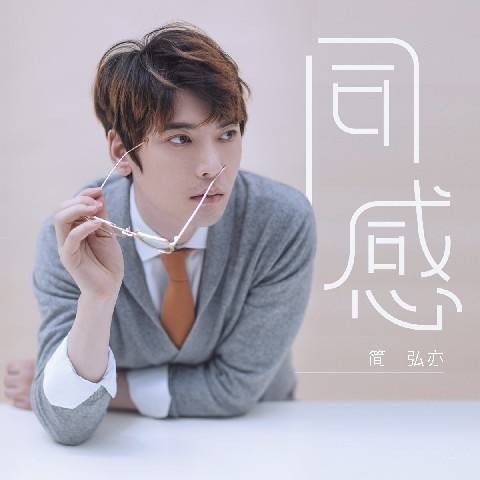 同感（简弘亦演唱歌曲）