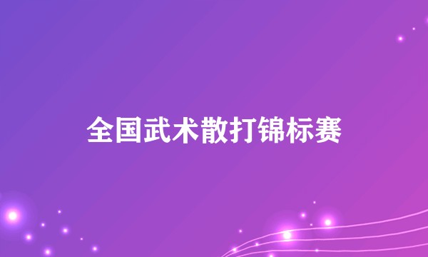 全国武术散打锦标赛