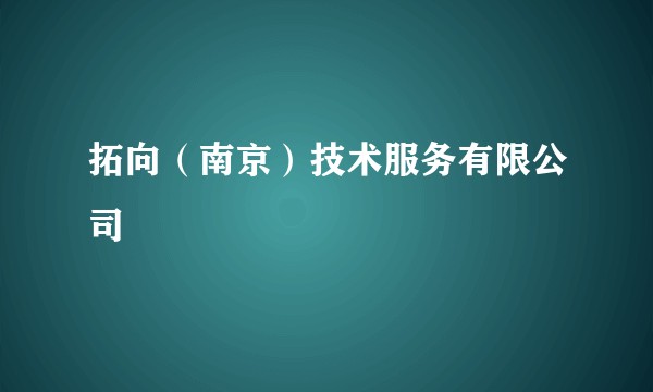 拓向(南京)技术服务有限公司