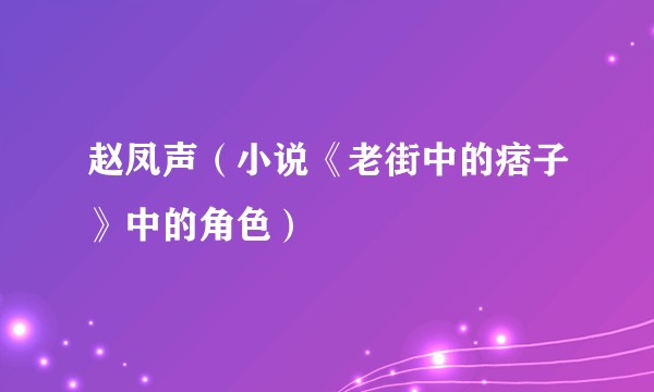 赵凤声（小说《老街中的痞子》中的角色）