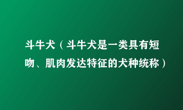 斗牛犬（斗牛犬是一类具有短吻、肌肉发达特征的犬种统称）