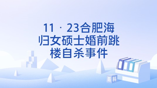 11·23合肥海归女硕士婚前跳楼自杀事件