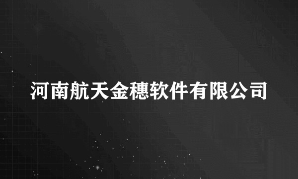 河南航天金穗软件有限公司