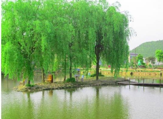龙溪湖度假村