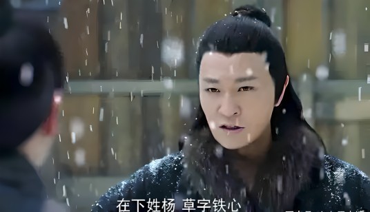 杨铁心（2017版《射雕英雄传》中的男配角）