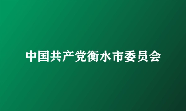 中国共产党衡水市委员会