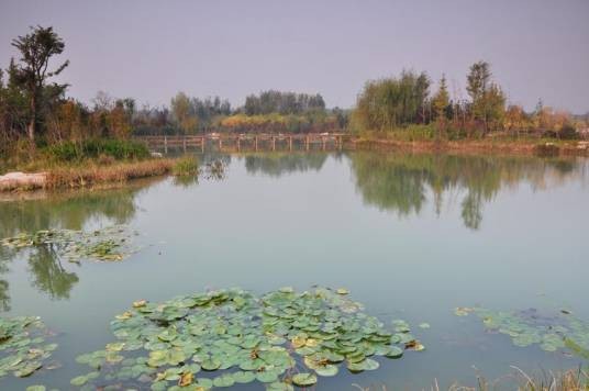 白浪河国家湿地公园