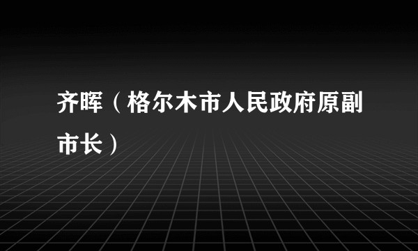 齐晖（格尔木市人民政府原副市长）