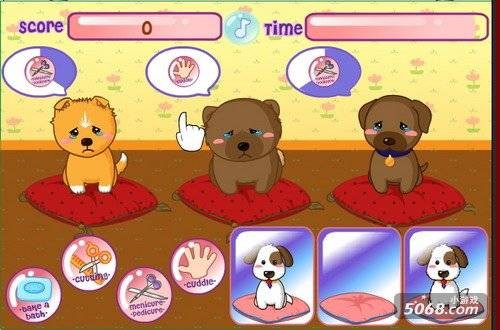 照顾宠物