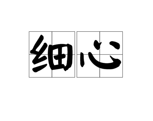 细心(汉语词语)