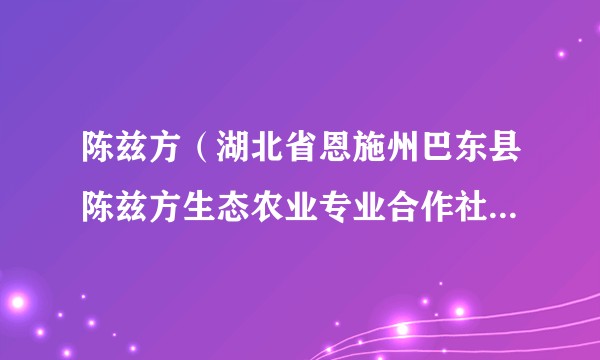 陈兹方（湖北省恩施州巴东县陈兹方生态农业专业合作社理事长）