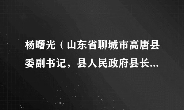 杨曙光（山东省聊城市高唐县委副书记，县人民政府县长、党组书记）