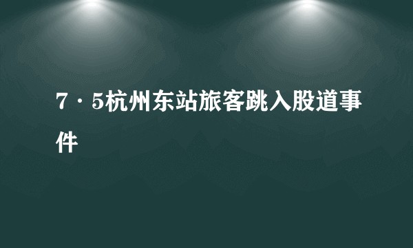 7·5杭州东站旅客跳入股道事件
