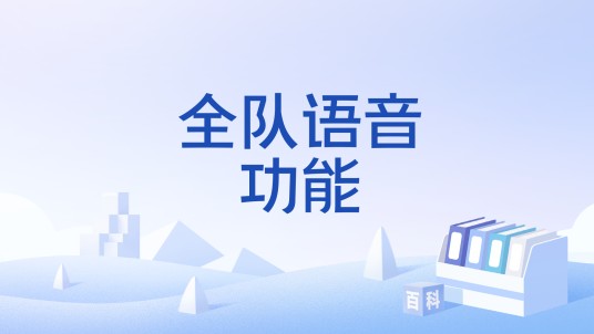 全队语音功能