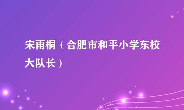 宋雨桐（合肥市和平小学东校大队长）