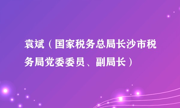 袁斌(国家税务总局长沙市税务局党委委员、副局长)