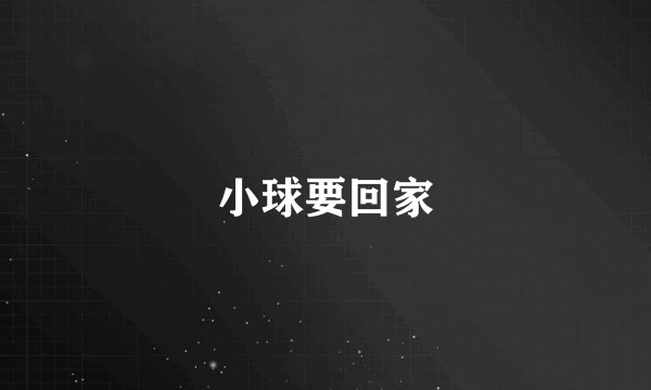 小球要回家