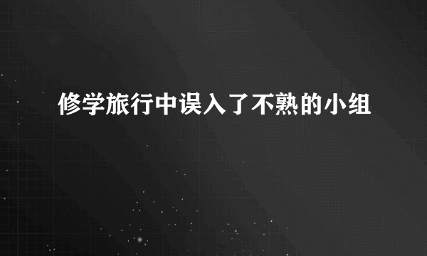 修学旅行中误入了不熟的小组