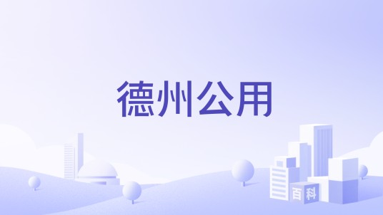 德州公用