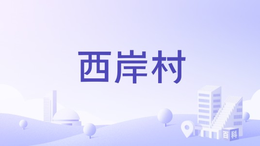 西岸村（广东省高州市宝光街道下辖行政村）