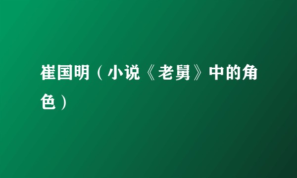 崔国明（小说《老舅》中的角色）