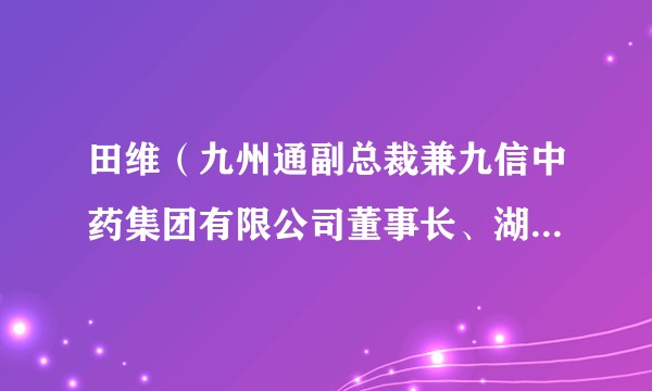田维（九州通副总裁兼九信中药集团有限公司董事长、湖北省中药材协会会长）