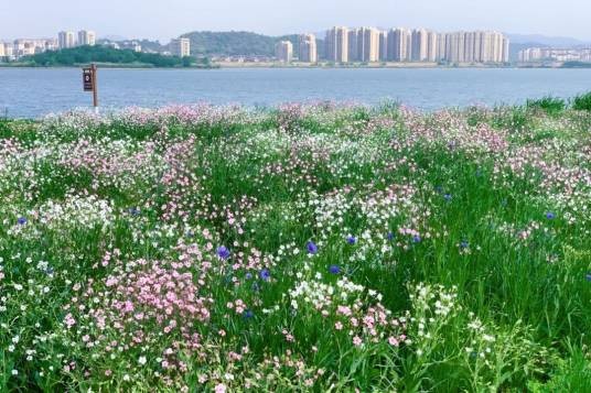 南湖公园（浙江省杭州市余杭区境内的公园）