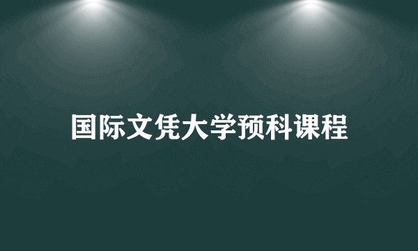 国际文凭大学预科课程