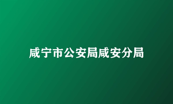 咸宁市公安局咸安分局