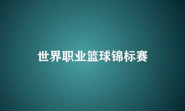 世界职业篮球锦标赛