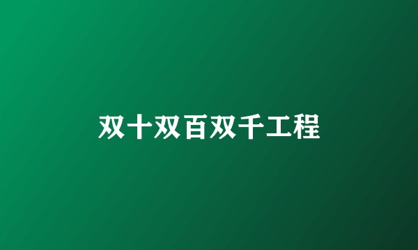双十双百双千工程