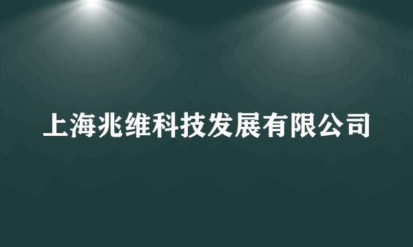 上海兆维科技发展有限公司