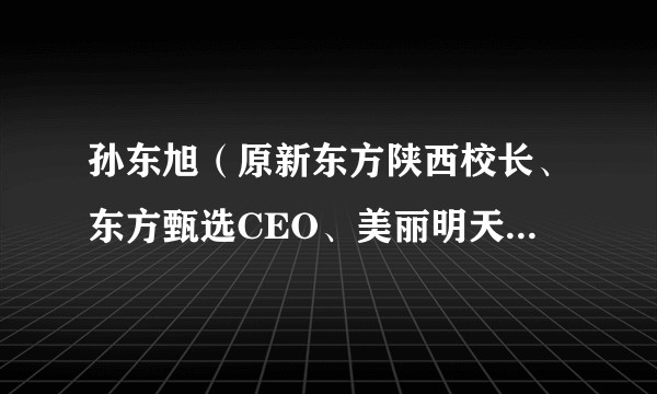 孙东旭（原新东方陕西校长、东方甄选CEO、美丽明天（北京）科技有限公司经理）