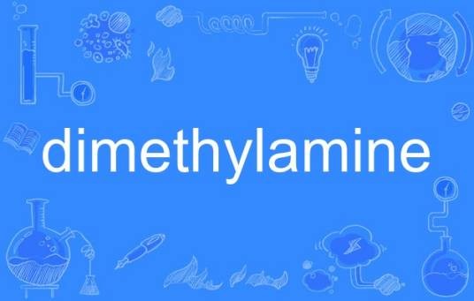 dimethylamine（英语单词）