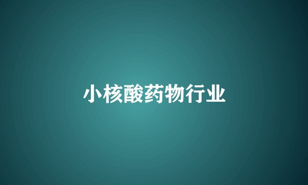 小核酸药物行业