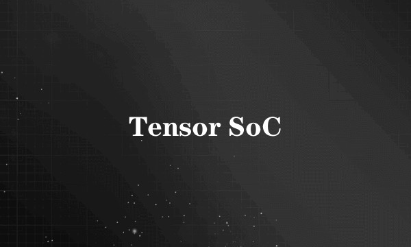 Tensor SoC