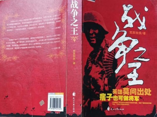 战争之王（2007年花山文艺出版社出版的图书）