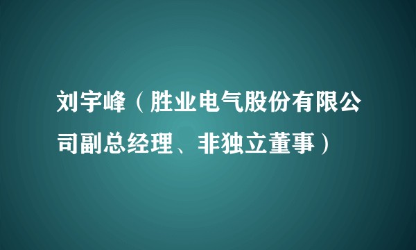 刘宇峰（胜业电气股份有限公司副总经理、非独立董事）