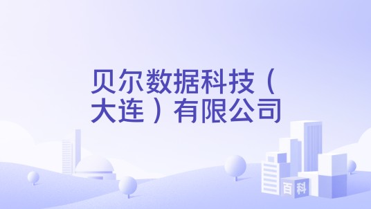 贝尔数据科技（大连）有限公司