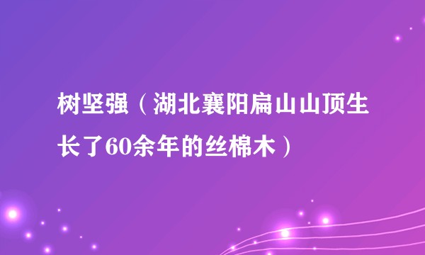 树坚强（湖北襄阳扁山山顶生长了60余年的丝棉木）