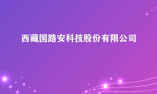 西藏国路安科技股份有限公司