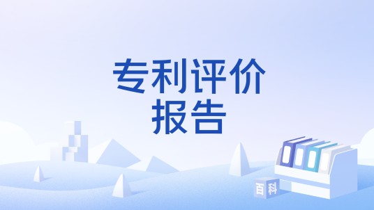 专利评价报告